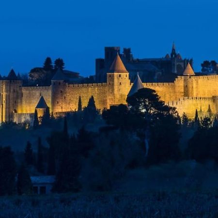 Le Panoramique - Sublime Vue Sur La Cite Carcassonne Exterior foto
