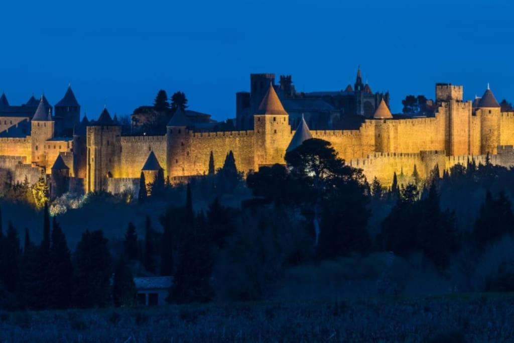 Le Panoramique - Sublime Vue Sur La Cite Carcassonne Exterior foto